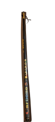 Balza Carbono5 Göl Kamışı 5,40 CM